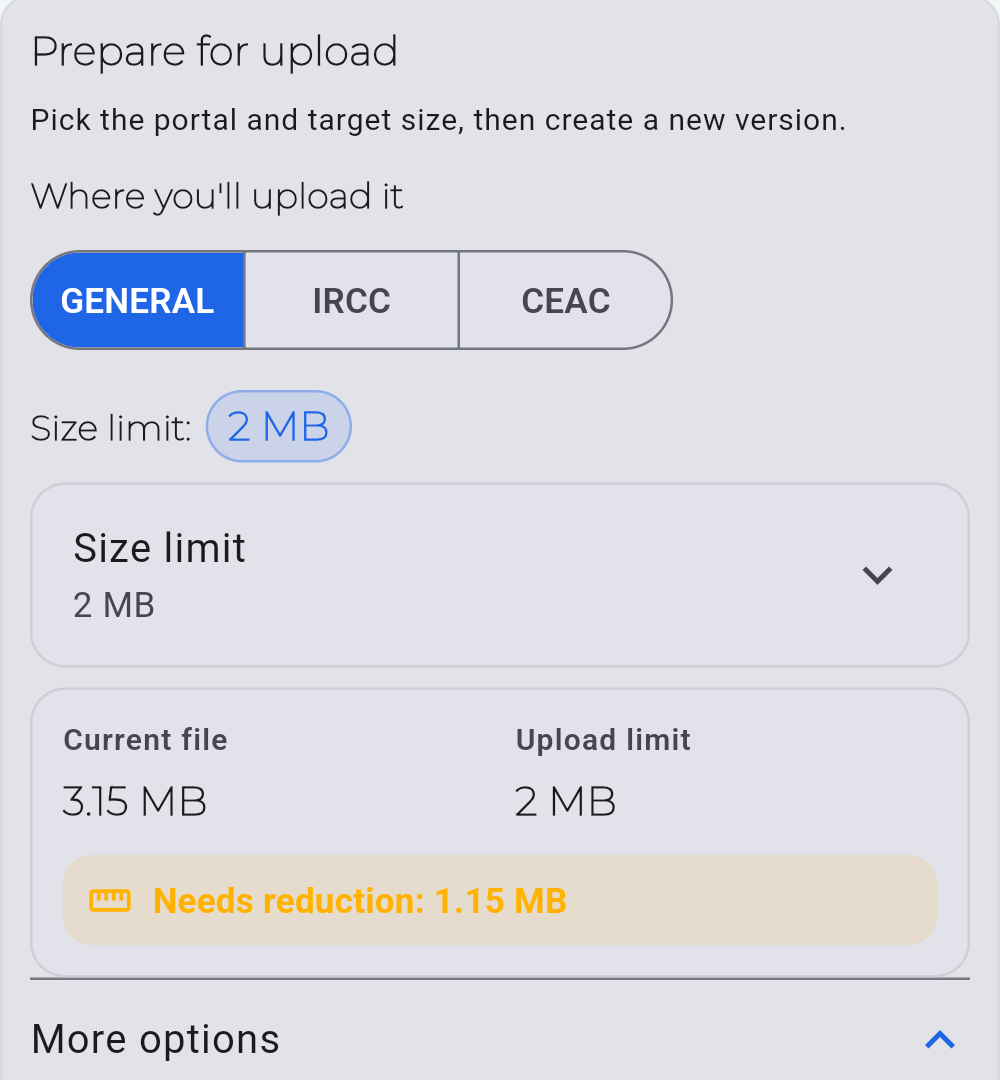 PDF Ready GENERAL screen focused on the active 2 MB target and size estimate before opening more options